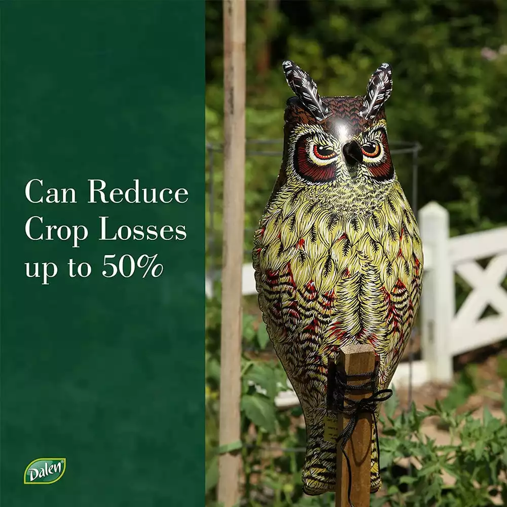 Hot Sale βοΈ Dalen Natural Enemy 2' Inflatable Owl Scarecrow - NE-OR - Animal Repellants π - Image 4