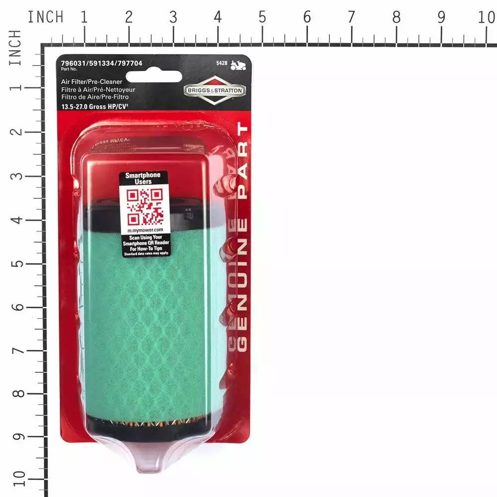 Best reviews of β€οΈ Briggs & Stratton Briggs and Stratton Air Filter/Precleaner for Model 31 Intek Engines 5428K - Small Engines & Accessories β¨